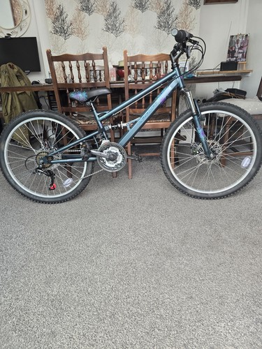 Boys girls mountain bike - mountain,