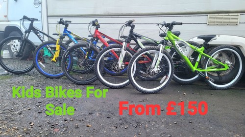 Carrera kids mountain bikes - mountain,